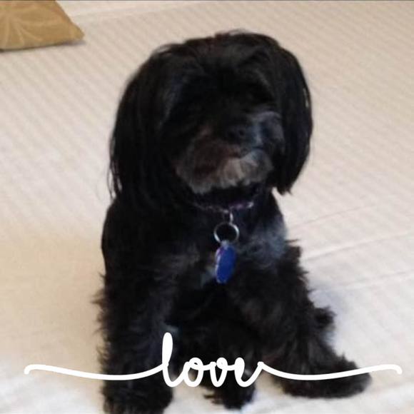 Poshmark profile picture for @zig